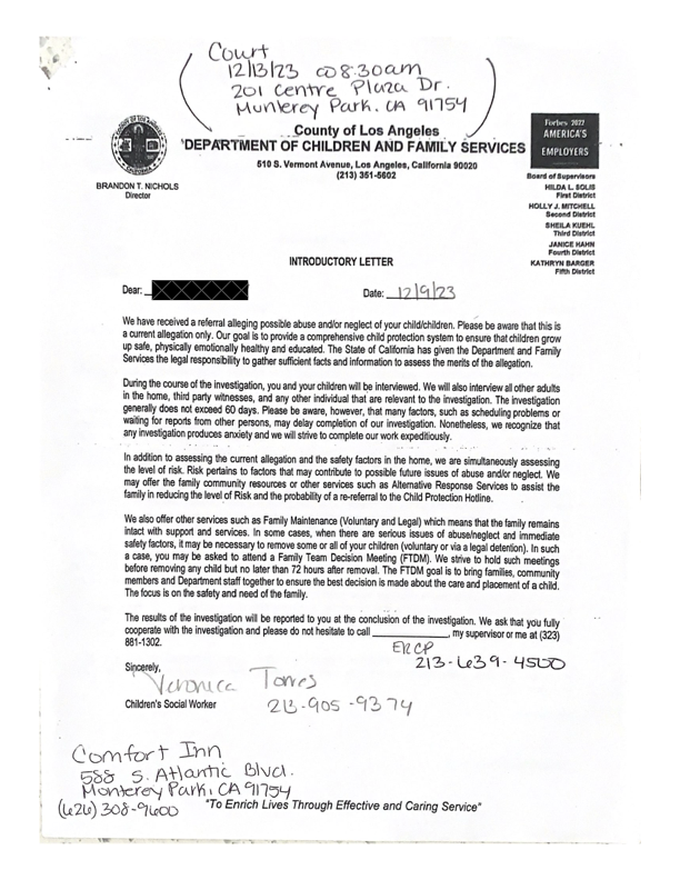 Helping a loving father to return his child from the United States to St. Petersburg and a mother's life sentence for domestic violence. — 8
