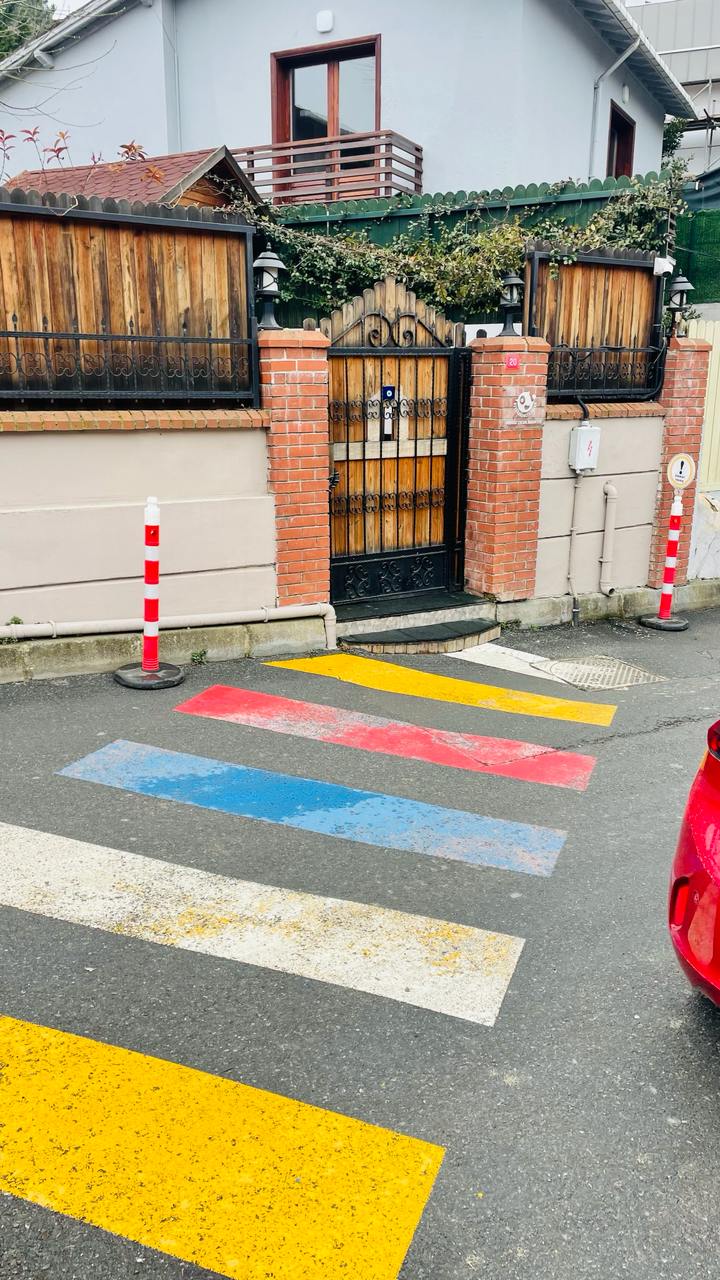 Возвращение похищенных братьев из Стамбула в Москву: история успешной работы — 2