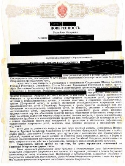 Возвращение похищенных братьев из Стамбула в Москву: история успешной работы — 1